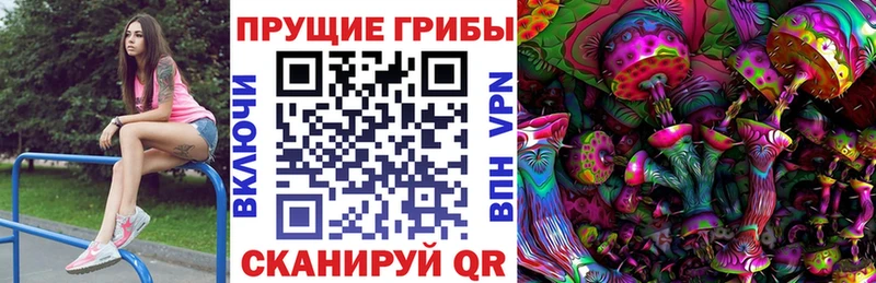 Галлюциногенные грибы Cubensis  Уссурийск 